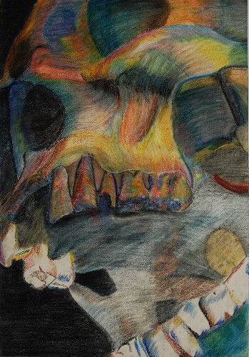 Skull