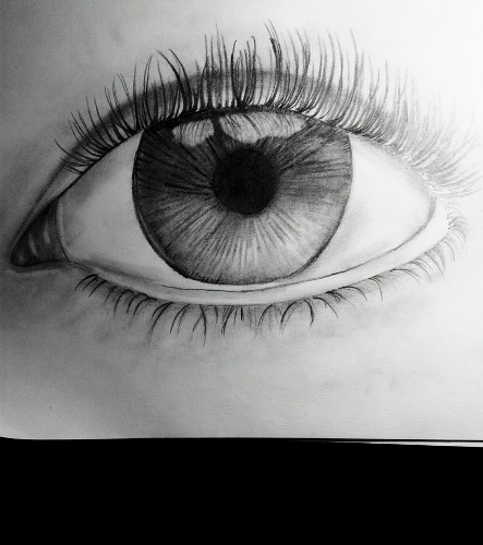 Eye