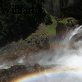JRWilliams