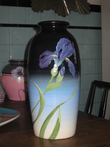 blue iris