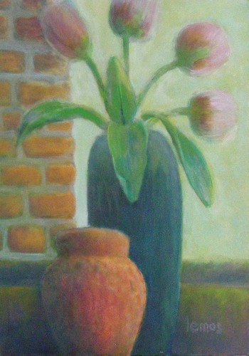 My pink tulip